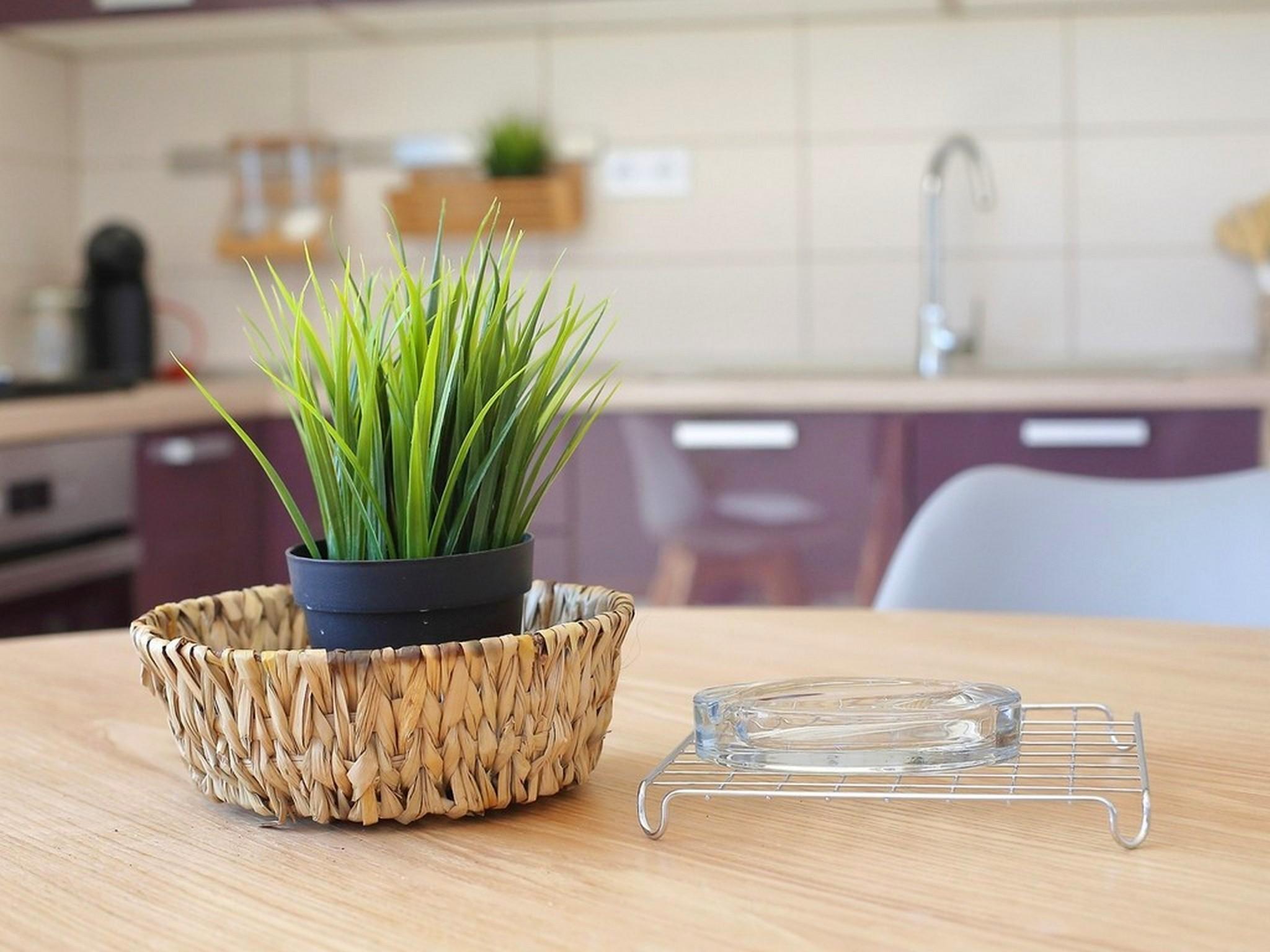 ביבינייה Apartments Tomislav מראה חיצוני תמונה